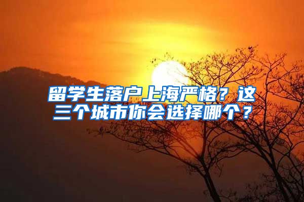 留学生落户上海严格？这三个城市你会选择哪个？