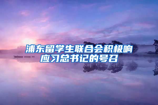 浦东留学生联合会积极响应习总书记的号召