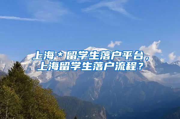 上海＊留学生落户平台，上海留学生落户流程？