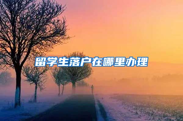 留学生落户在哪里办理