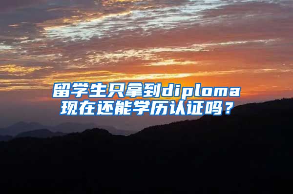 留学生只拿到diploma现在还能学历认证吗？