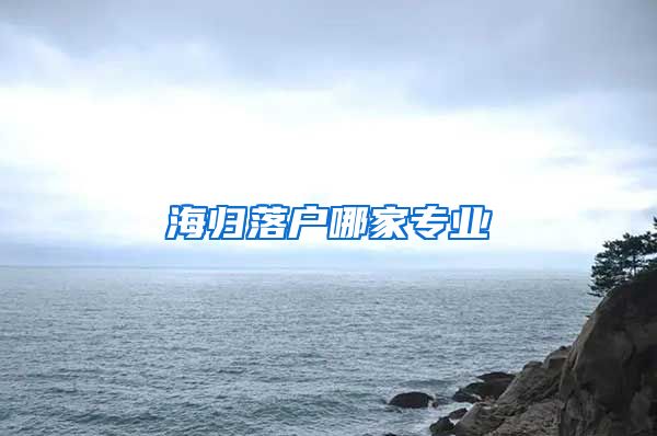 海归落户哪家专业