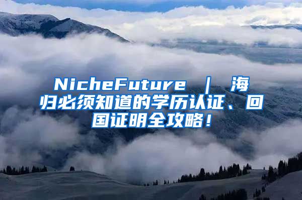 NicheFuture ｜ 海归必须知道的学历认证、回国证明全攻略！