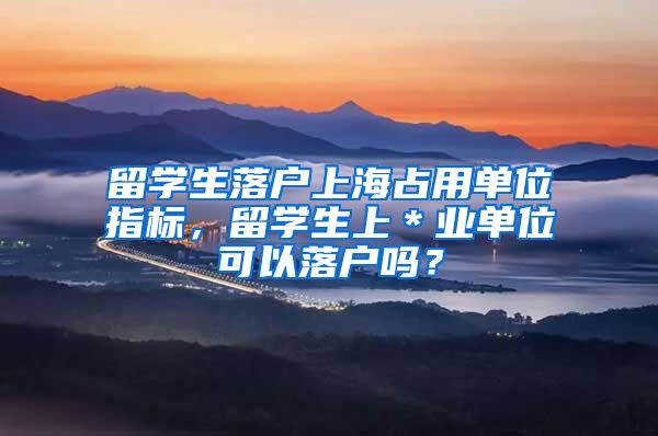 留学生落户上海占用单位指标，留学生上＊业单位可以落户吗？