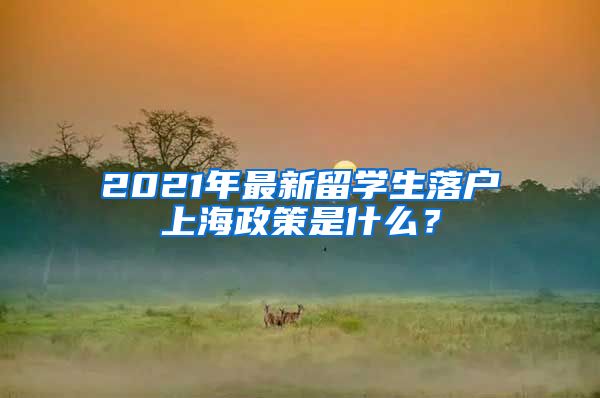 2021年最新留学生落户上海政策是什么？