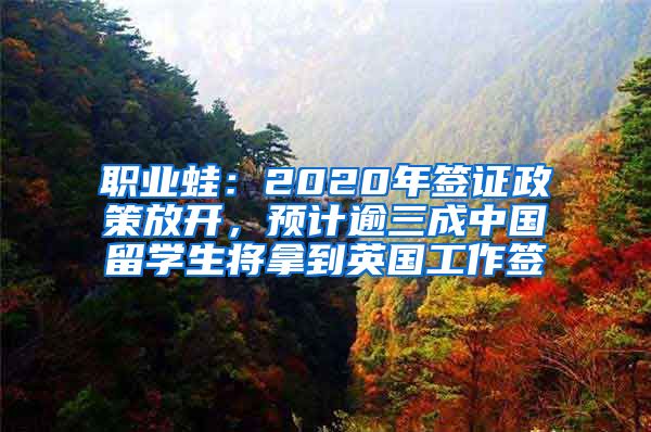 职业蛙：2020年签证政策放开，预计逾三成中国留学生将拿到英国工作签