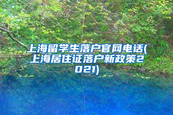 上海留学生落户官网电话(上海居住证落户新政策2021)