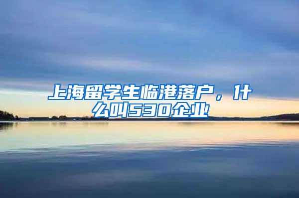 上海留学生临港落户，什么叫530企业