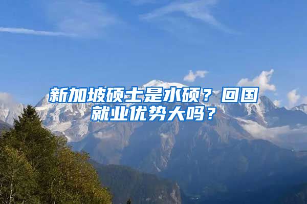 新加坡硕士是水硕？回国就业优势大吗？