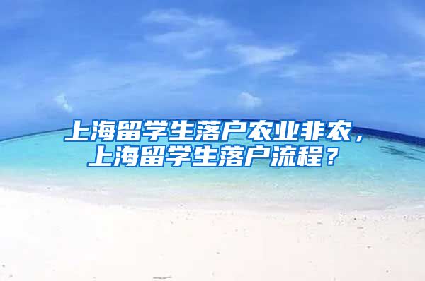 上海留学生落户农业非农，上海留学生落户流程？