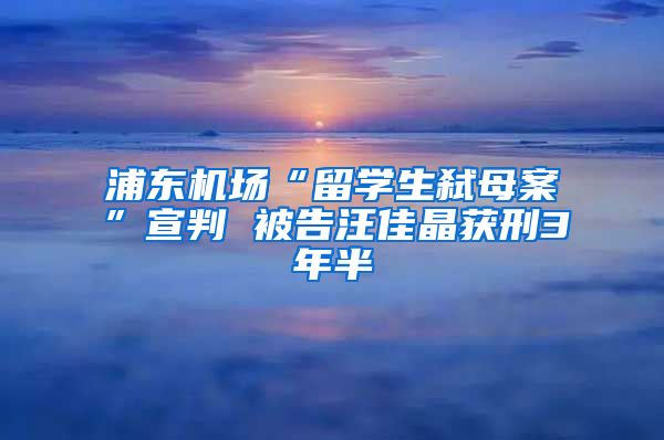 浦东机场“留学生弑母案”宣判 被告汪佳晶获刑3年半