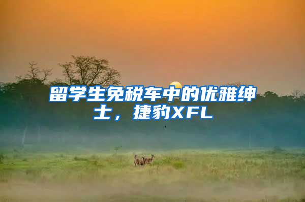 留学生免税车中的优雅绅士，捷豹XFL