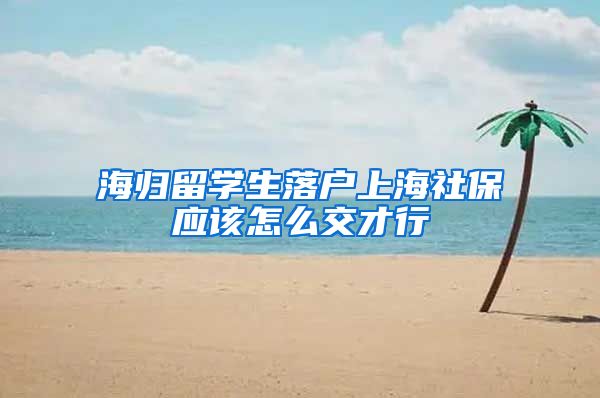 海归留学生落户上海社保应该怎么交才行