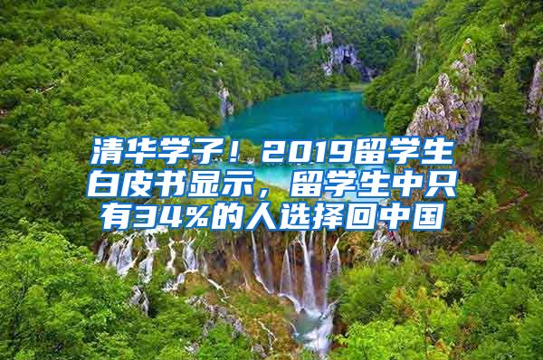 清华学子！2019留学生白皮书显示，留学生中只有34%的人选择回中国