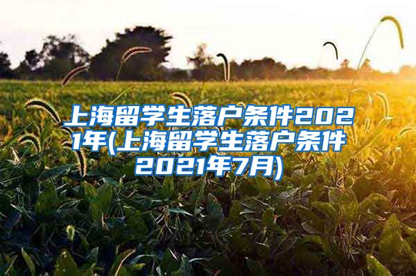 上海留学生落户条件2021年(上海留学生落户条件2021年7月)