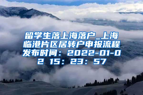 留学生落上海落户_上海临港片区居转户申报流程发布时间：2022-01-02 15：23：57