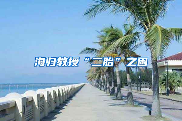 海归教授“二胎”之困