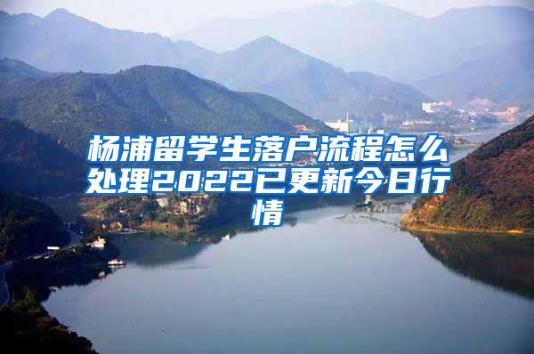 杨浦留学生落户流程怎么处理2022已更新今日行情