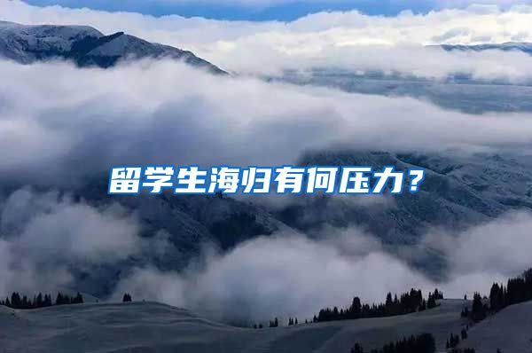 留学生海归有何压力？