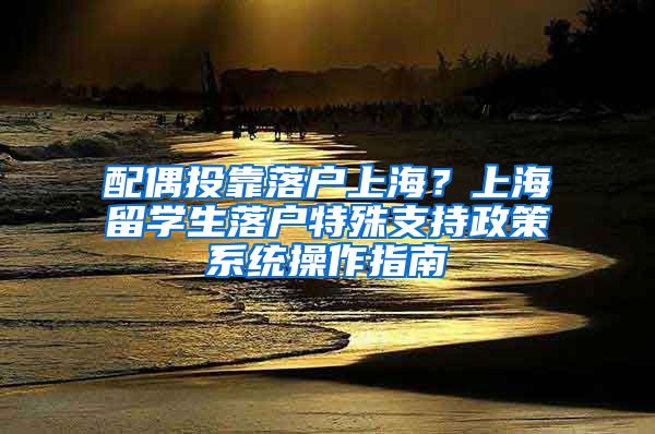 配偶投靠落户上海？上海留学生落户特殊支持政策系统操作指南