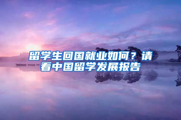 留学生回国就业如何？请看中国留学发展报告