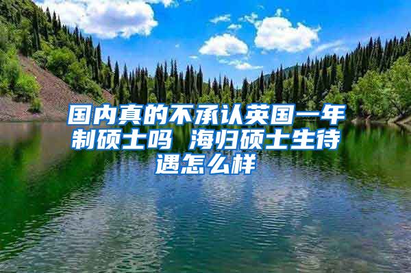 国内真的不承认英国一年制硕士吗 海归硕士生待遇怎么样