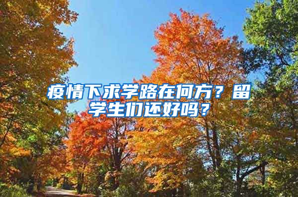 疫情下求学路在何方？留学生们还好吗？