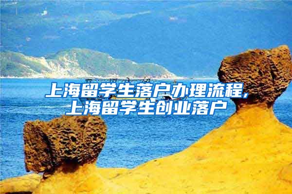 上海留学生落户办理流程,上海留学生创业落户