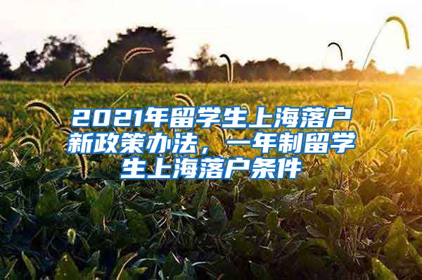 2021年留学生上海落户新政策办法，一年制留学生上海落户条件