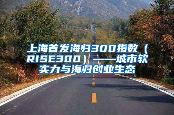 上海首发海归300指数（RISE300）——城市软实力与海归创业生态