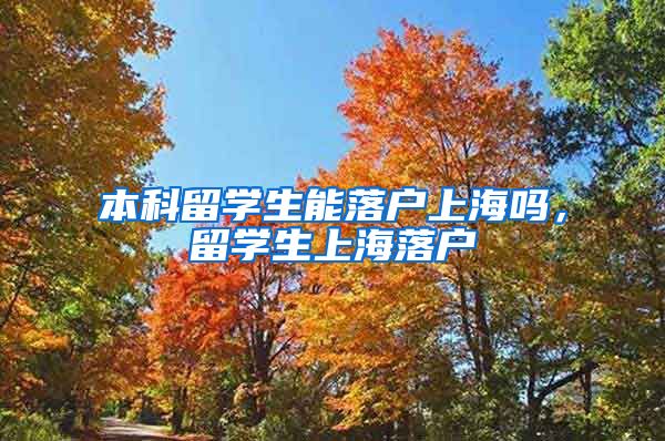 本科留学生能落户上海吗，留学生上海落户