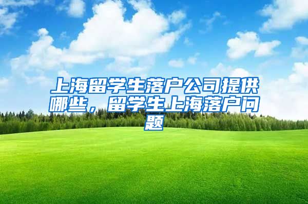 上海留学生落户公司提供哪些，留学生上海落户问题