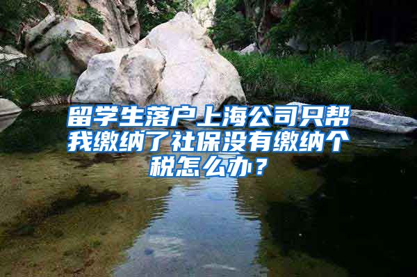 留学生落户上海公司只帮我缴纳了社保没有缴纳个税怎么办？