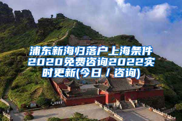 浦东新海归落户上海条件2020免费咨询2022实时更新(今日／咨询)