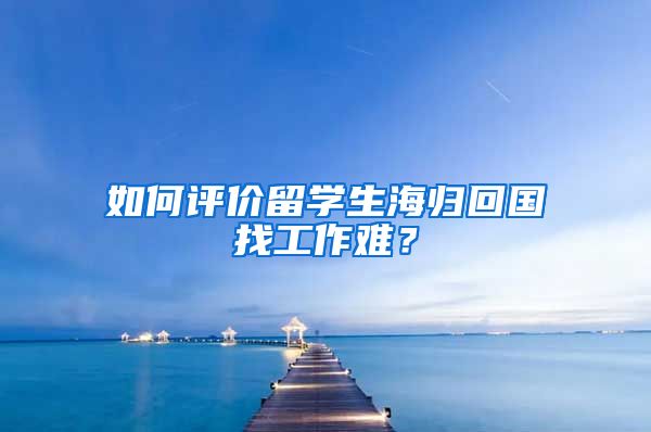 如何评价留学生海归回国找工作难？