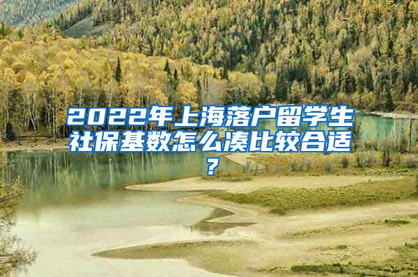 2022年上海落户留学生社保基数怎么凑比较合适？