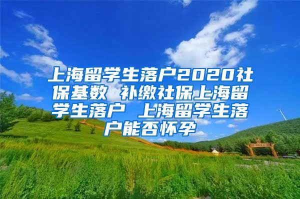 上海留学生落户2020社保基数 补缴社保上海留学生落户 上海留学生落户能否怀孕