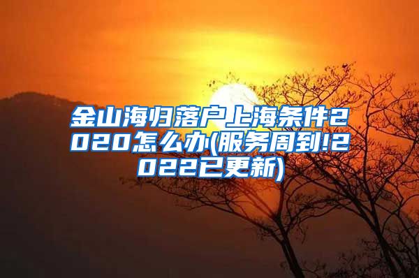 金山海归落户上海条件2020怎么办(服务周到!2022已更新)