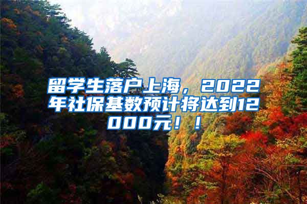 留学生落户上海，2022年社保基数预计将达到12000元！！