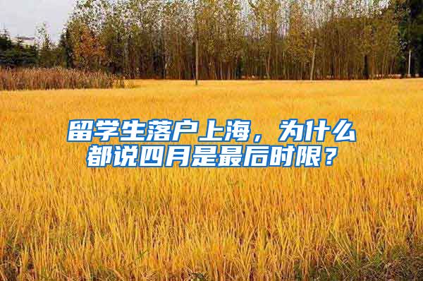 留学生落户上海，为什么都说四月是最后时限？