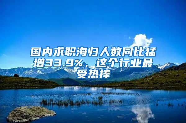 国内求职海归人数同比猛增33.9%，这个行业最受热捧→