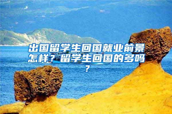 出国留学生回国就业前景怎样？留学生回国的多吗？