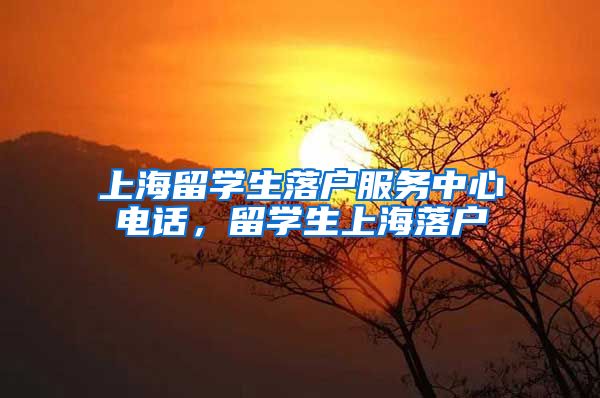 上海留学生落户服务中心电话，留学生上海落户