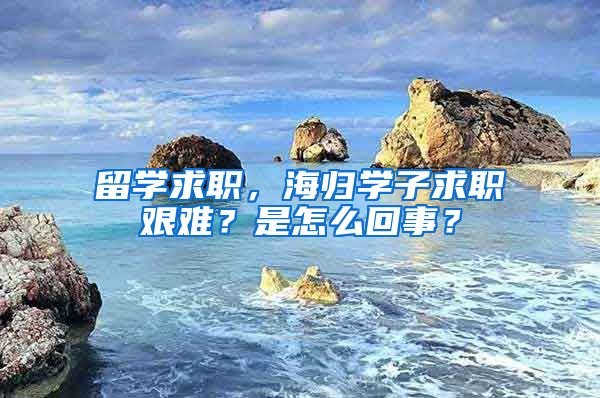 留学求职，海归学子求职艰难？是怎么回事？