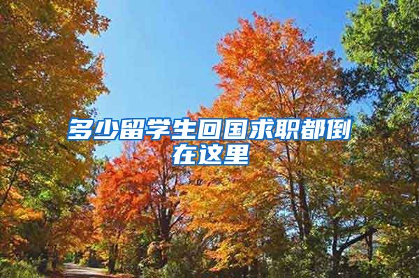 多少留学生回国求职都倒在这里