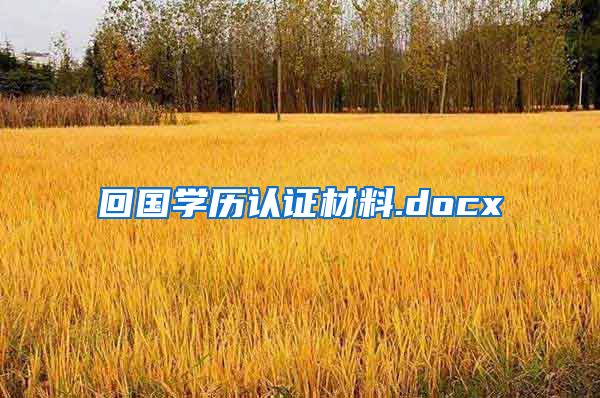 回国学历认证材料.docx