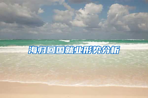 海归回国就业形势分析