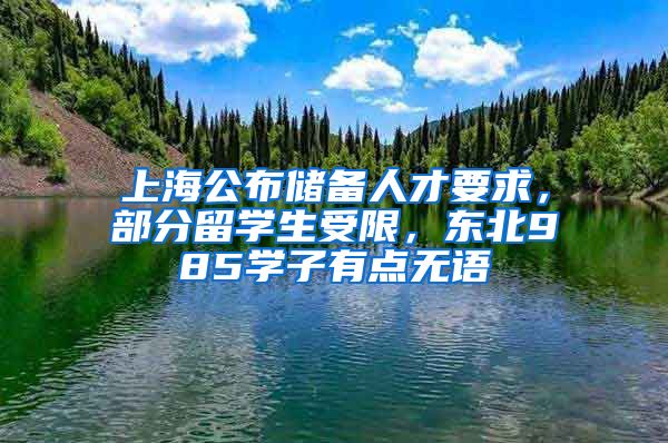 上海公布储备人才要求，部分留学生受限，东北985学子有点无语