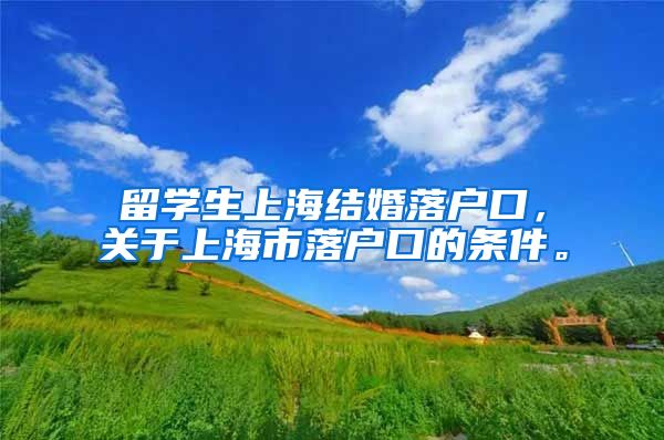 留学生上海结婚落户口，关于上海市落户口的条件。