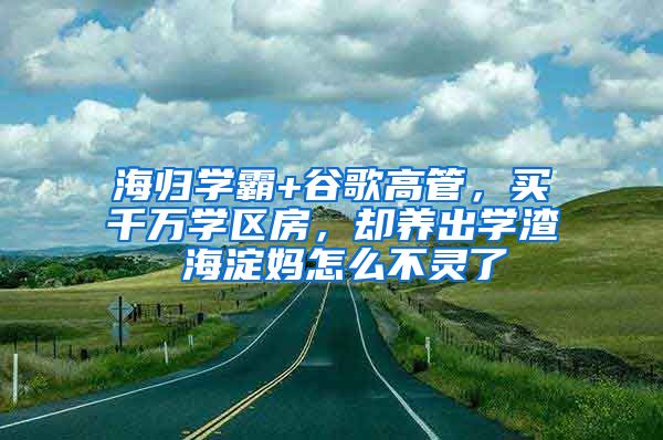 海归学霸+谷歌高管，买千万学区房，却养出学渣 海淀妈怎么不灵了